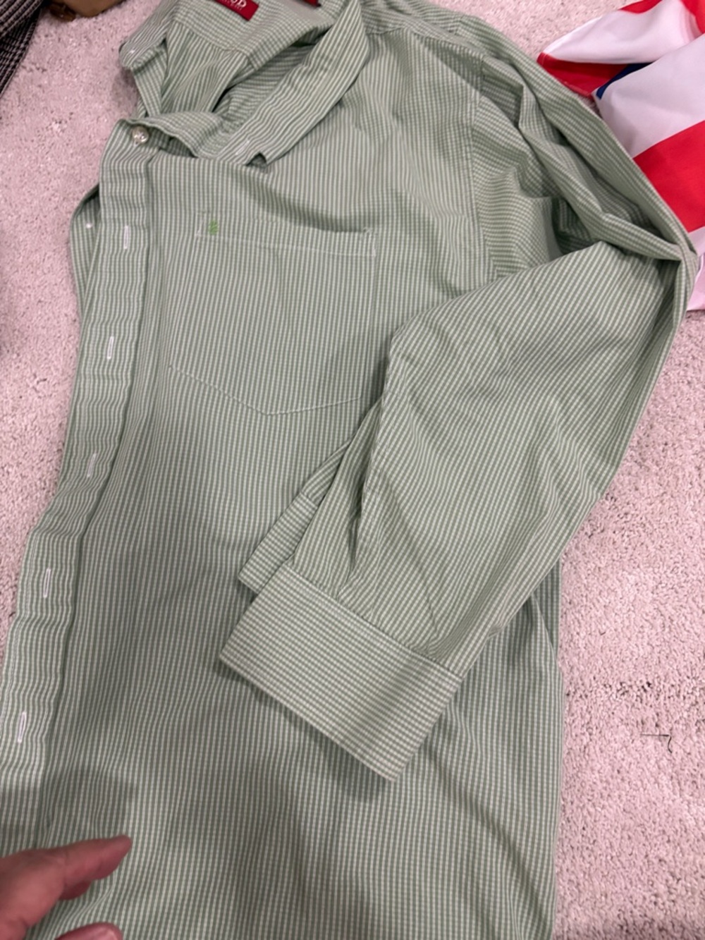 Izod Light Green Mini-Check Button Shirt